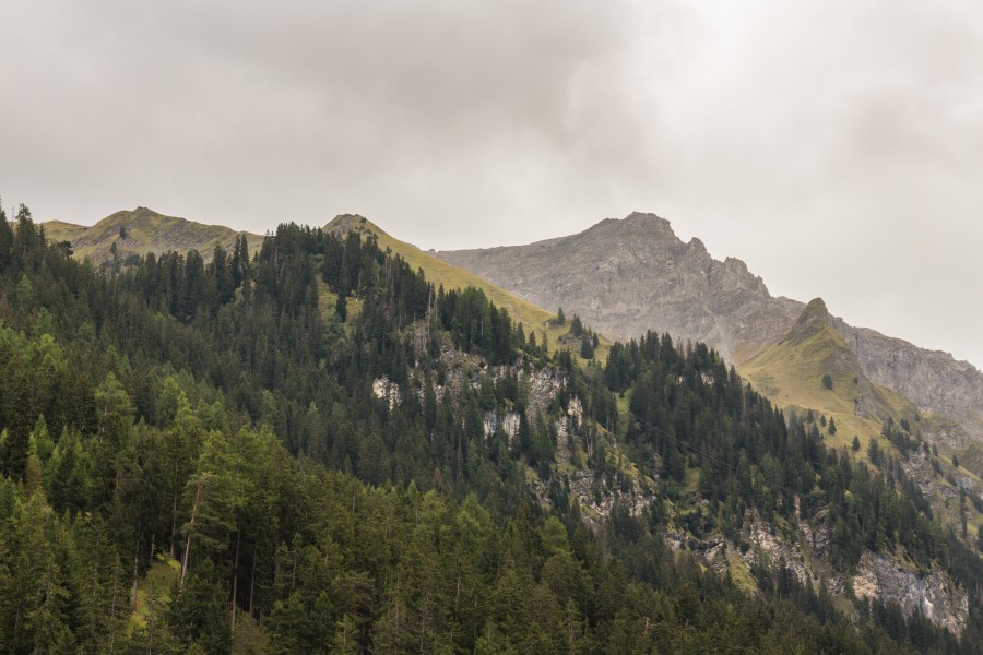 Bergtocht van Tschiertschen (1350 meter) via Ruchtobel naar Löser (1680 meter) 02
