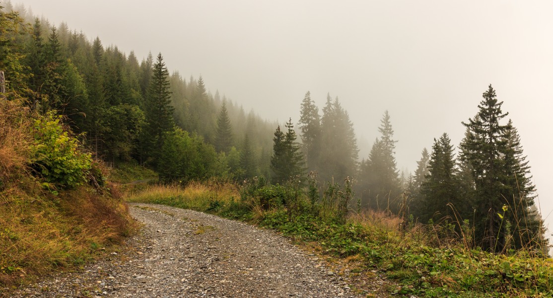 Bergtocht van Tschiertschen (1350 meter) via Ruchtobel naar Löser (1680 meter) 17