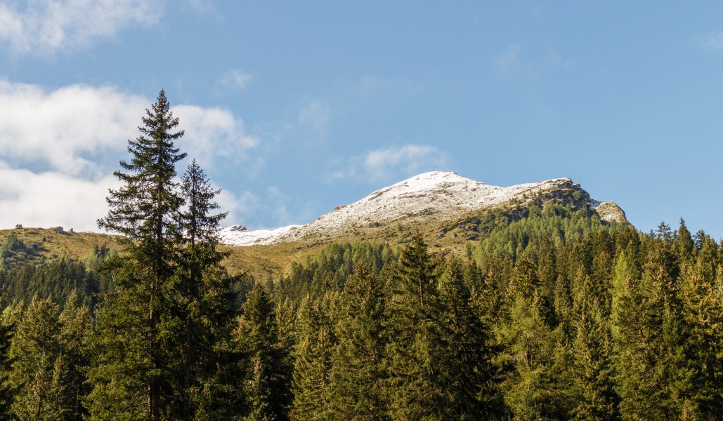 Bergtocht van Tschiertschen (1350 meter) via Ruchtobel richting Ochsenalp 010