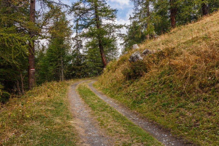 Bergtocht van Vens naar Bettex in Valle d'Aosta (Italië). Bergpad naar Bettex