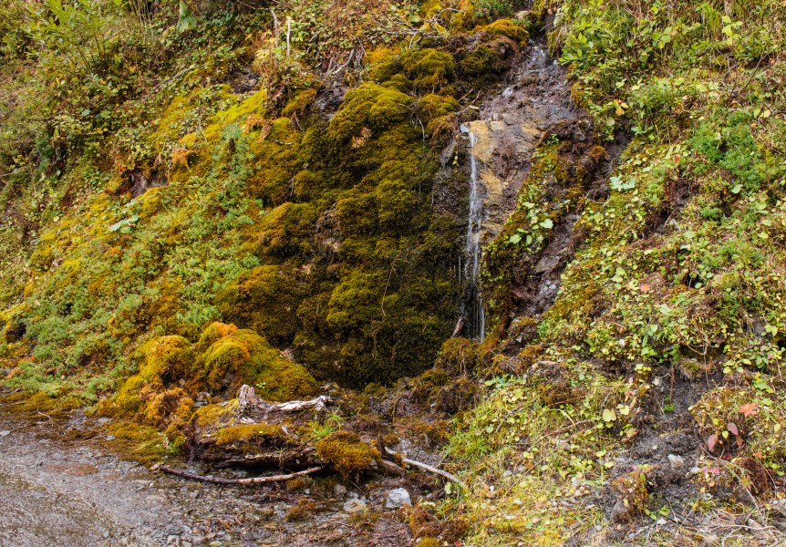 Bergtocht van Vens naar Bettex in Valle d'Aosta (Italië) 020