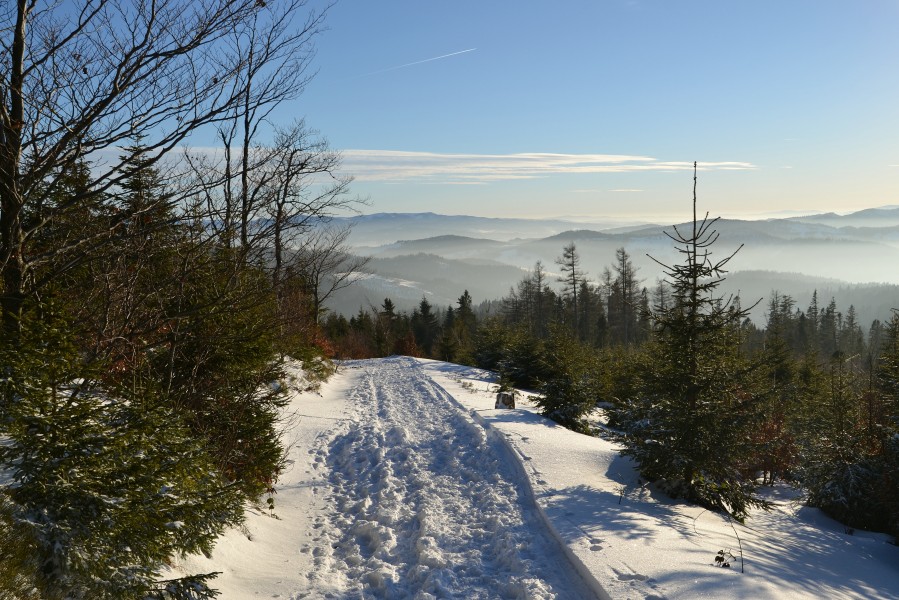 Beskid Sądecki in winter 2016 05