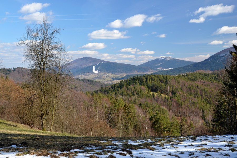 Beskid Wyspowy - Ćwilin i Śnieżnica