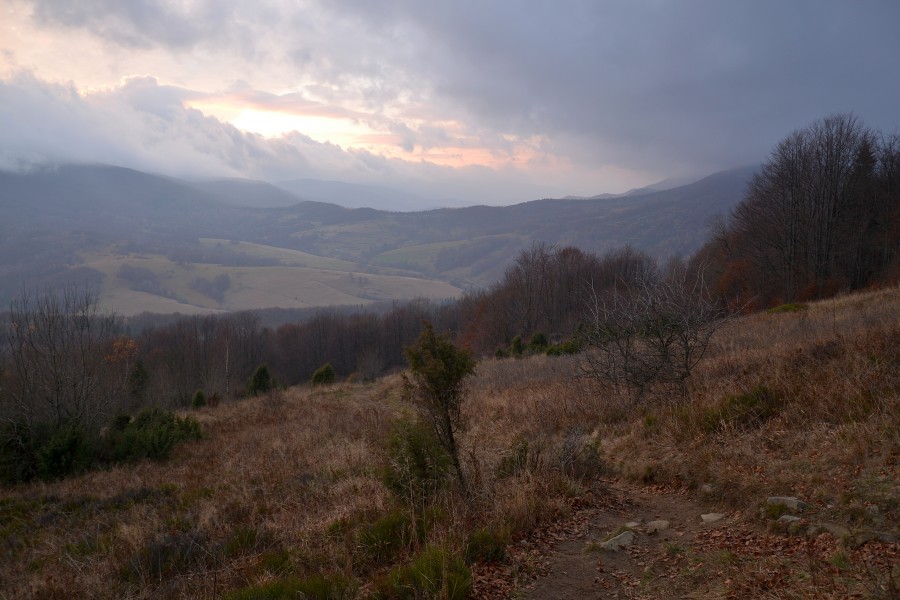 Bieszczady - view from Połonina Caryńska