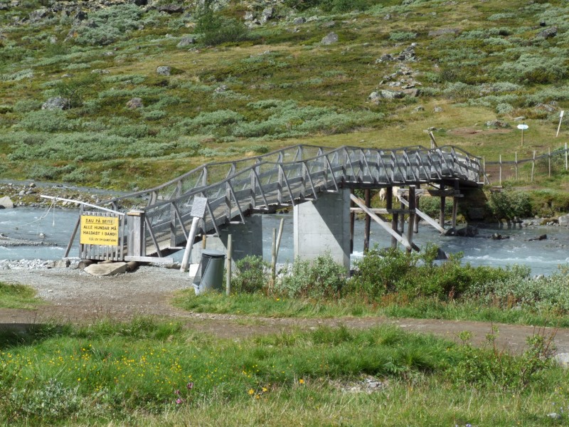 Bridge over Visa river
