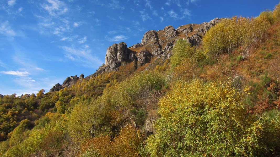 Cresta del Monte Grona vista da valle lato sud e betulle, autunno 2015-10-25, Plesio (Como)