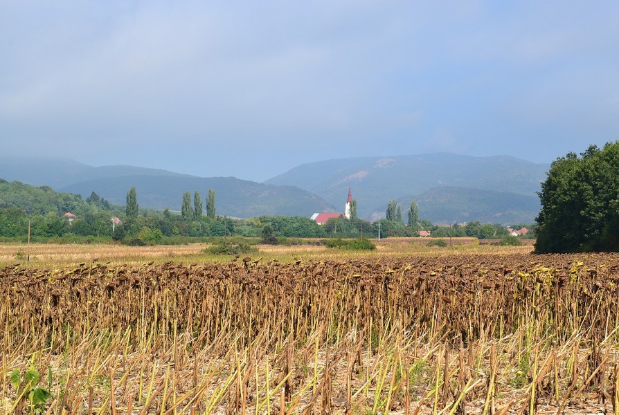 Cserépfalu and Bükk mountains