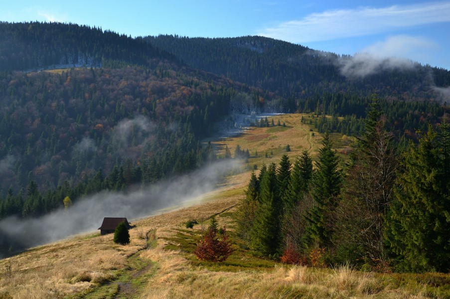 Gorce - polana Podskały (by Pudelek)