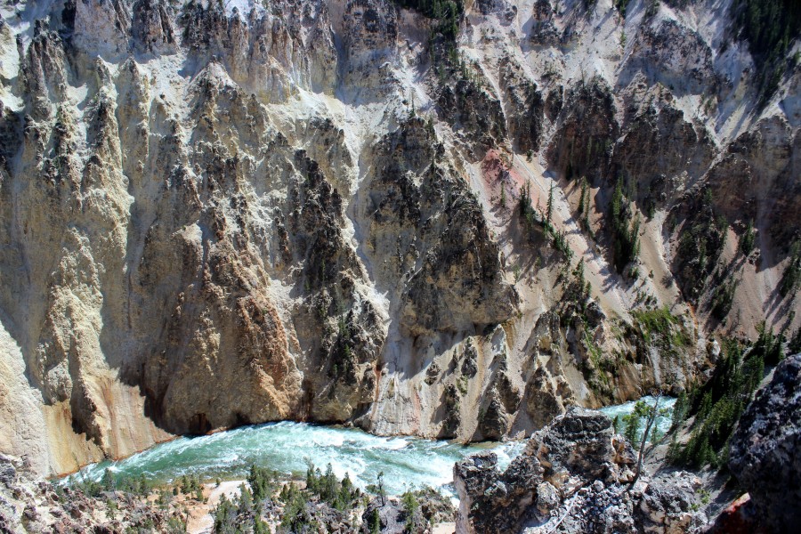 Grand Canyon of the Yellowstone 05