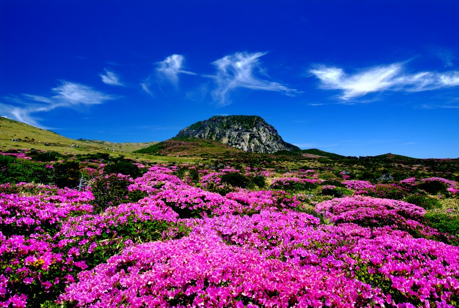 KOCIS Halla Mountain in Jeju-do (6387785543)