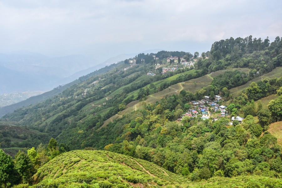 Landscape of Darjeeling,India