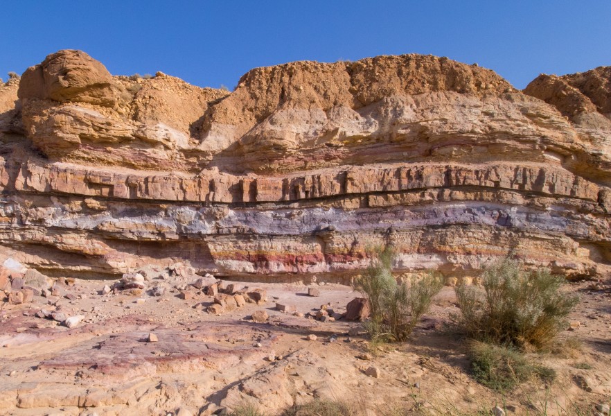Layers of sedimentary rock in Makhtesh Ramon (50749)