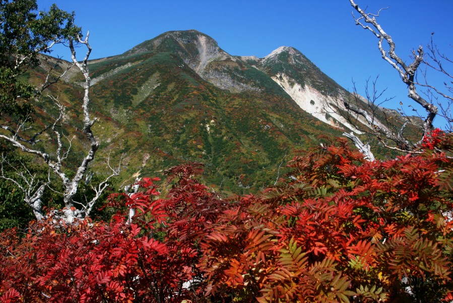 Mount Haku from Okura ridge 2008-10-02 s1