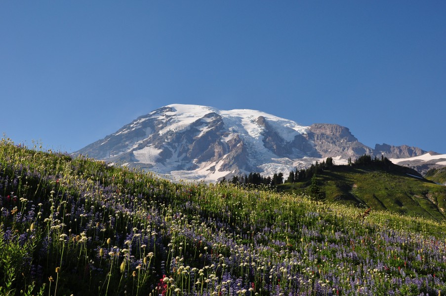 Mount Rainier (Washington state, USA)