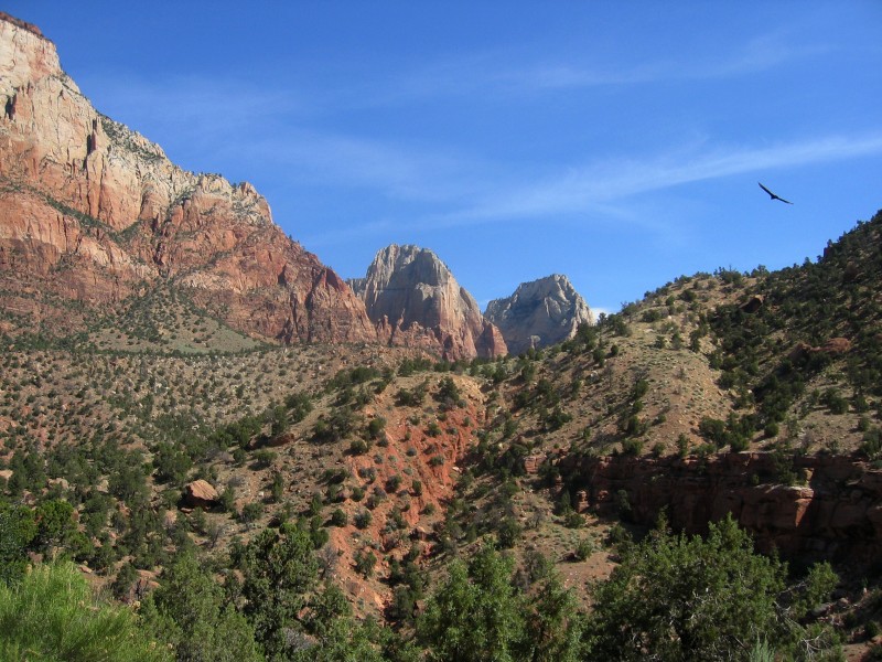 Mountains in Zion National Park, Utah
