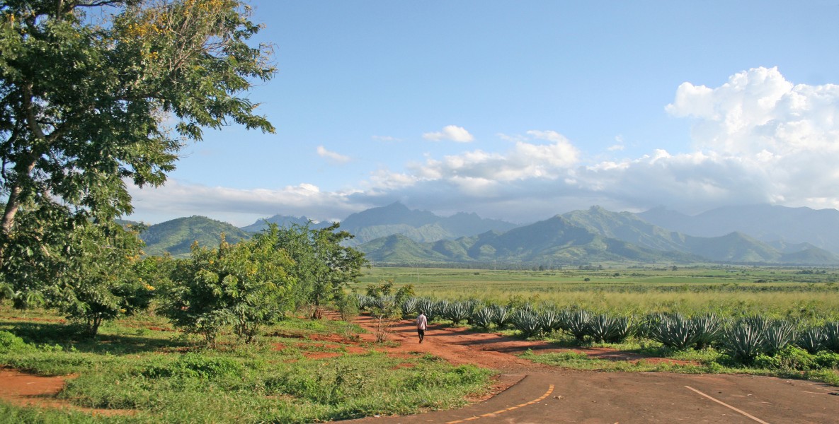 Mt Uluguru and Sisal plantations