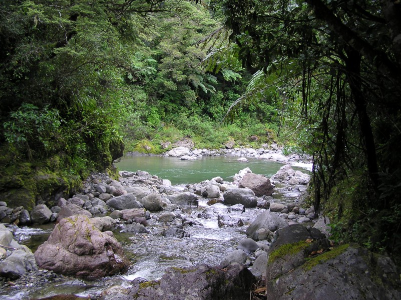 New-zealand-tararuas-clem-creek-waiohine-river