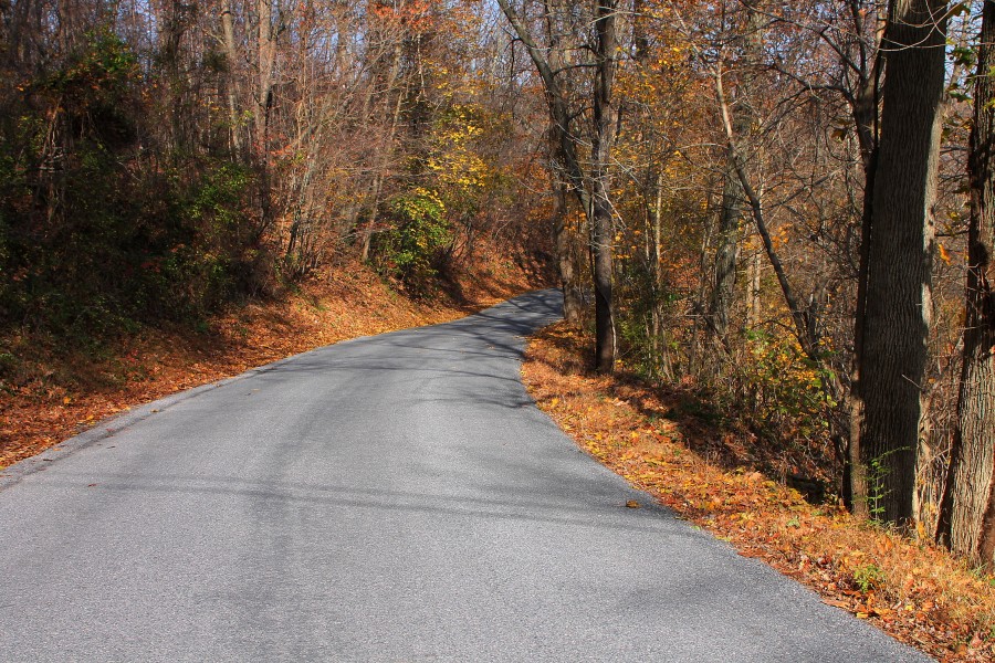 Old Reading Road in the foothills of Catawissa Mountain