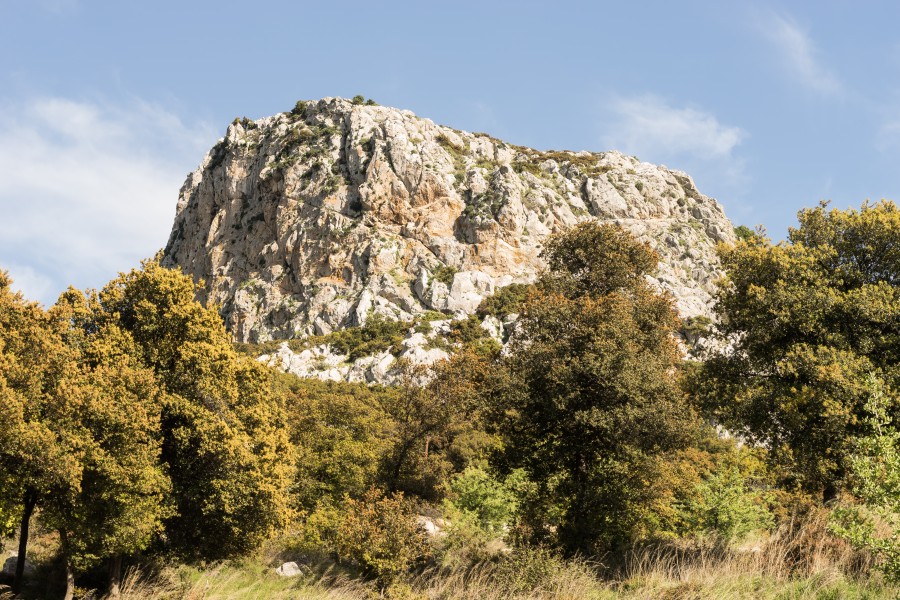 Rock in Ptoan Mountains, Boeotia, central Greece