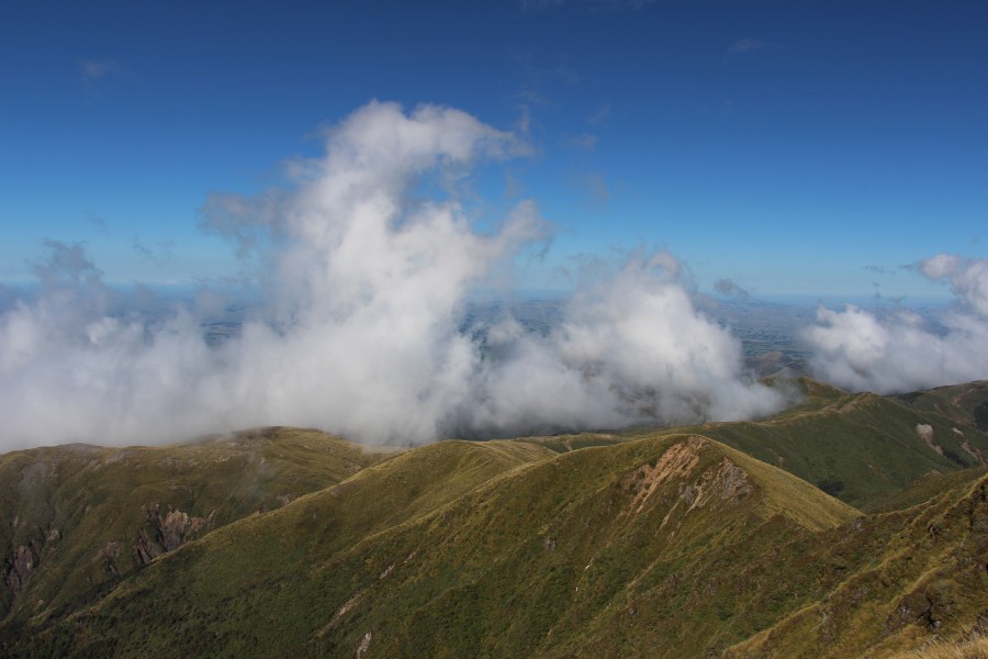 Ruahine Mountains, along the Daphne Spur (15)