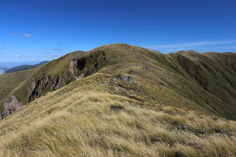 Ruahine Mountains, along the Daphne Spur (19)