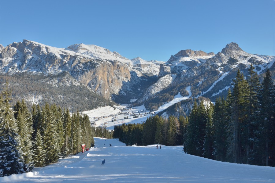 Selva da pista 3 Ciampinoi Gherdeina