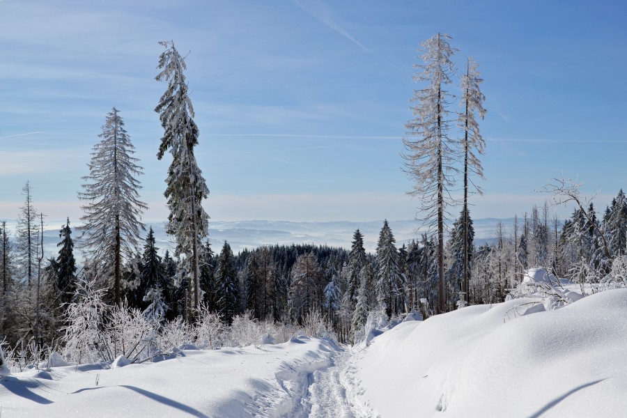 Silesian Beskids - hiking trial to Barania Góra peak 02