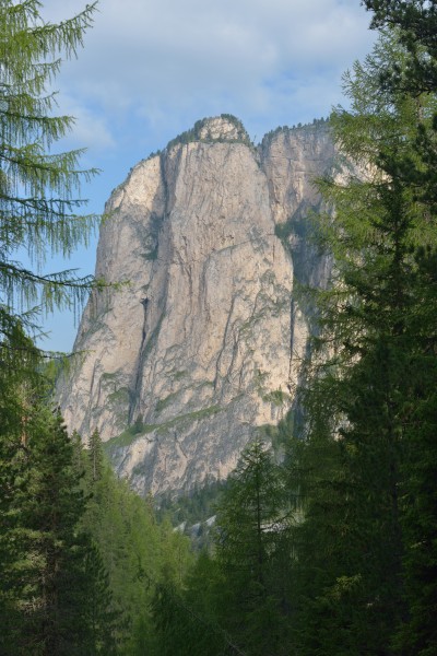 Steviola