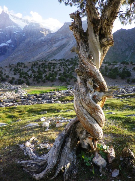 Tajikistan Fan-Mountains - landscape 02