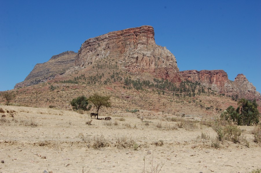 TESFA trek (5499070386)