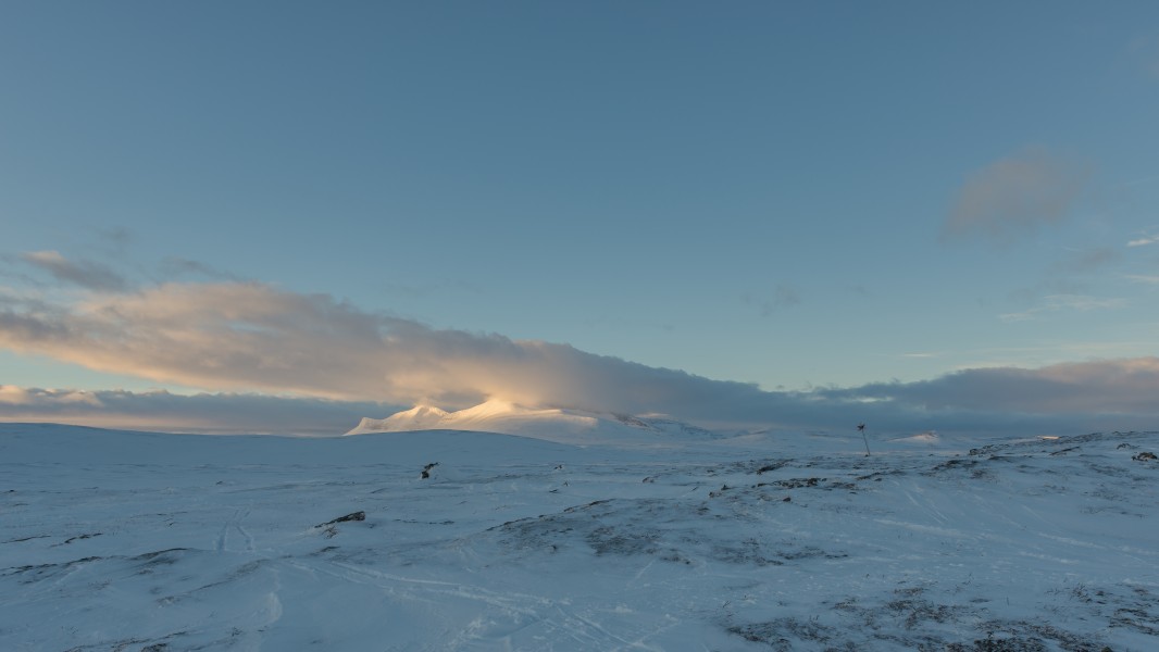Torkilstöten December 2013 14