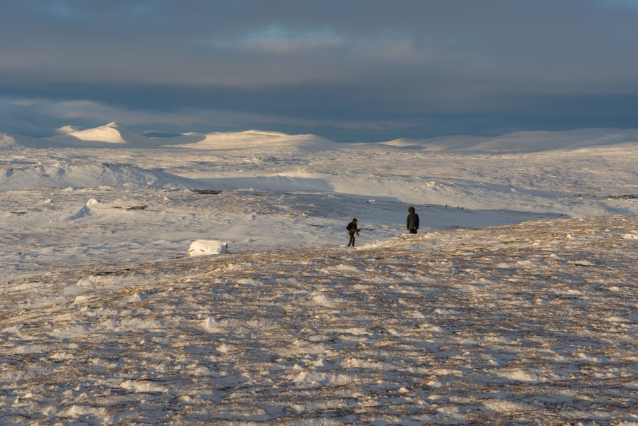 Torkilstöten December 2014 04