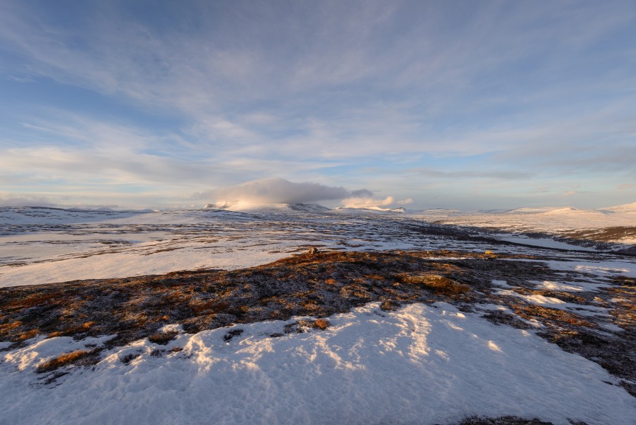 Torkilstöten December 2016 01