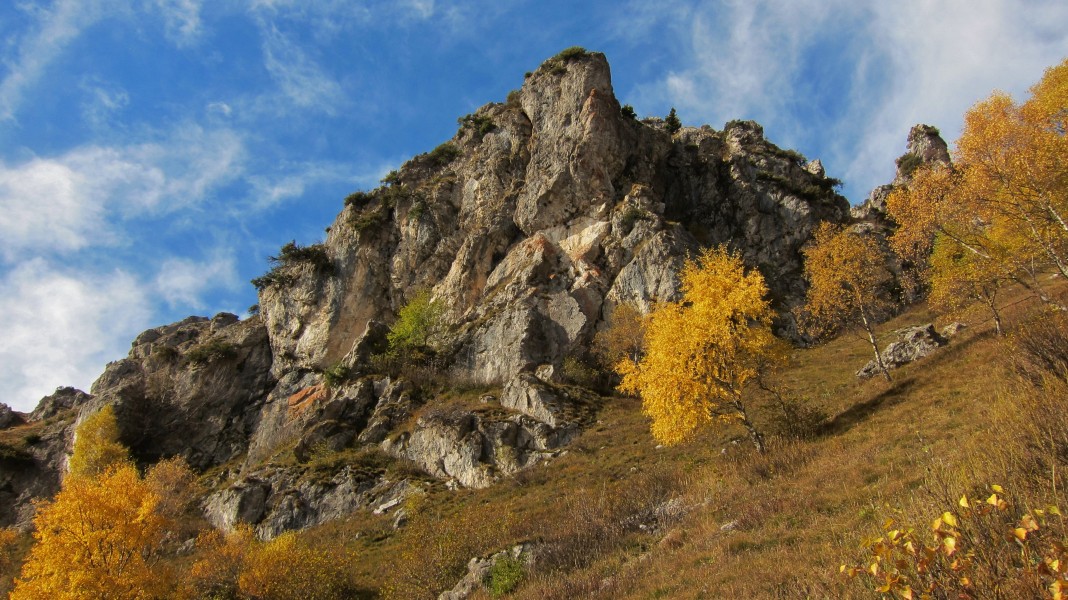 Versante est della parete sud della cresta del Monte Grona, colori autunnali betulle - 2015-10-25, Plesio (Como)