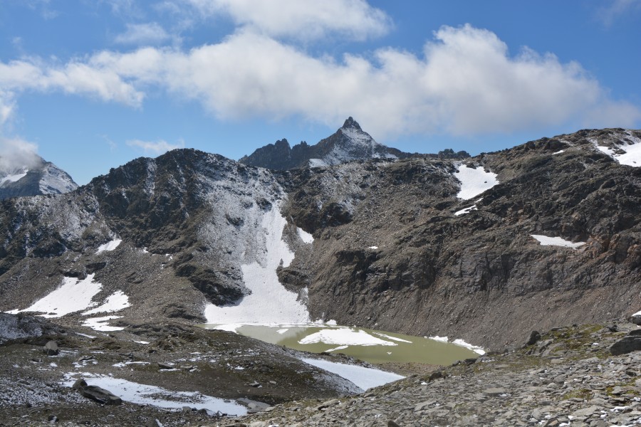 Wildenkees, dahinter die Hintere Michlbachspitze