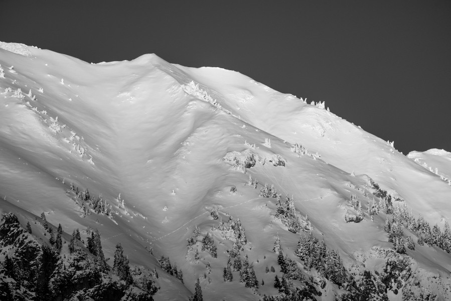 Winter mountains in black and white - Golica