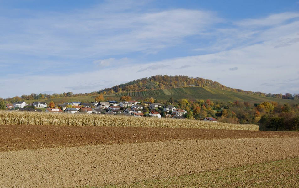 Winzerhausen Wunnenstein 2010