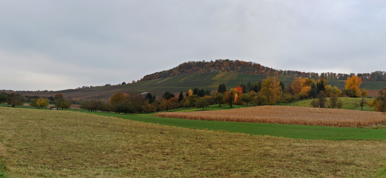 Wunnenstein von Süden 2010
