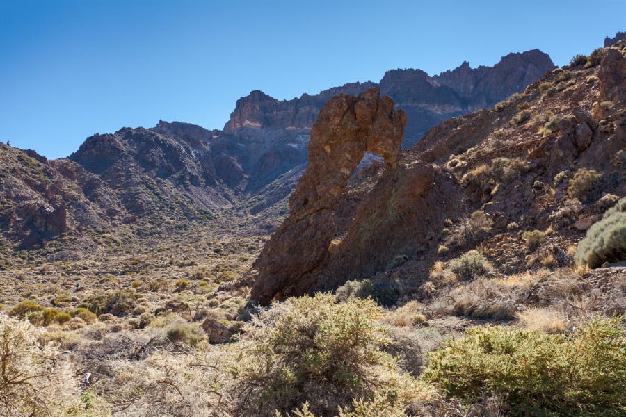 Zapato de la Reina, Parque Nacional del Teide, Tenerife, España, 2012-12-16, DD 01