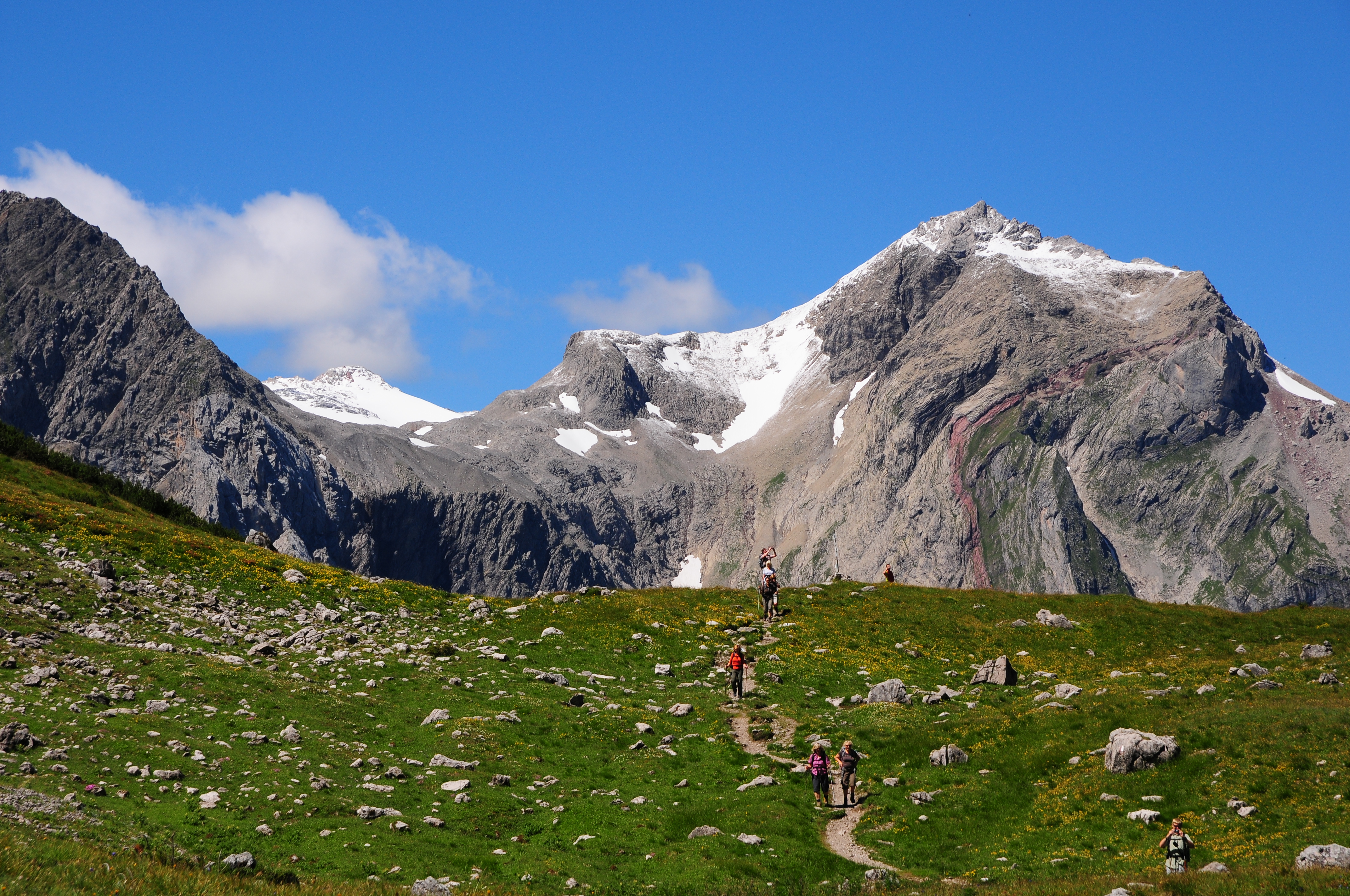 Saulajoch 2065 Wildberg