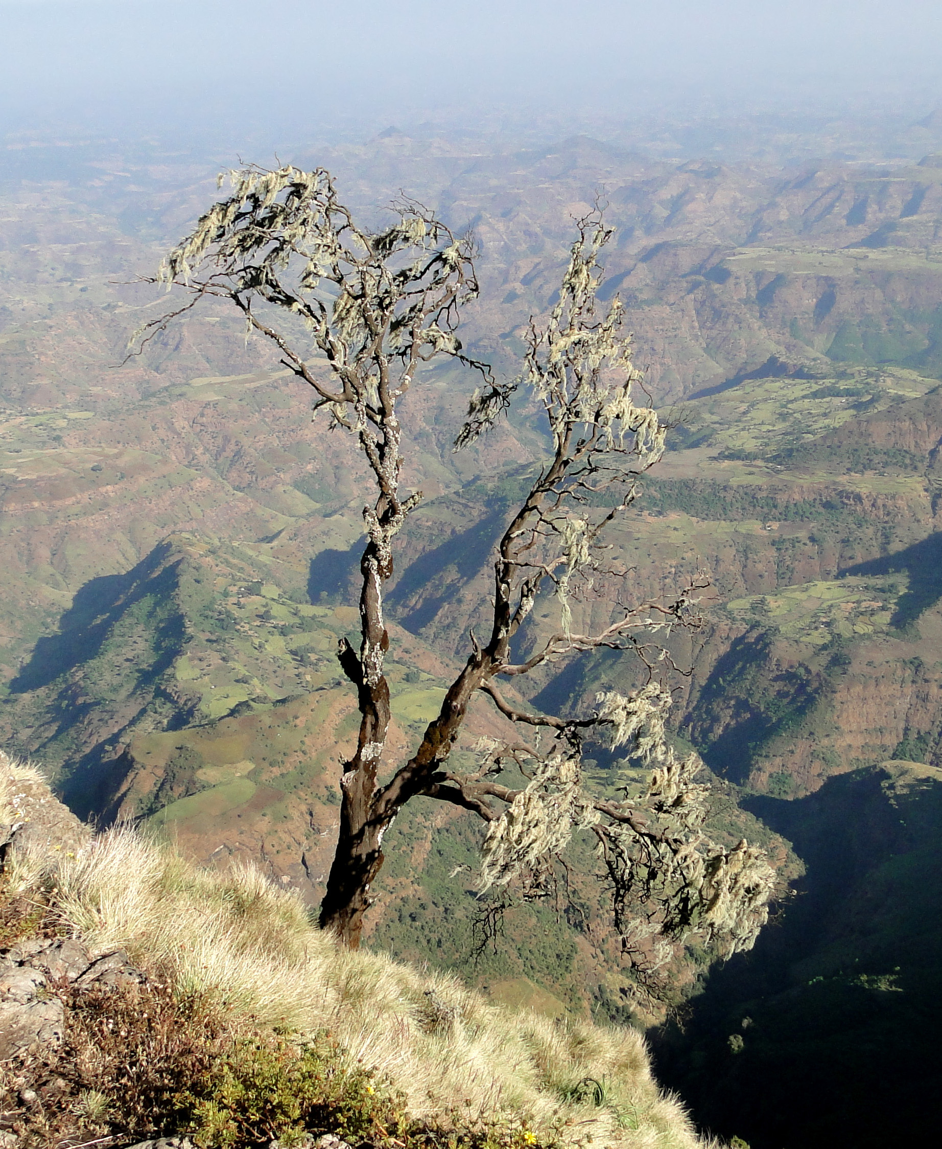 Simien Mountains National Park 01