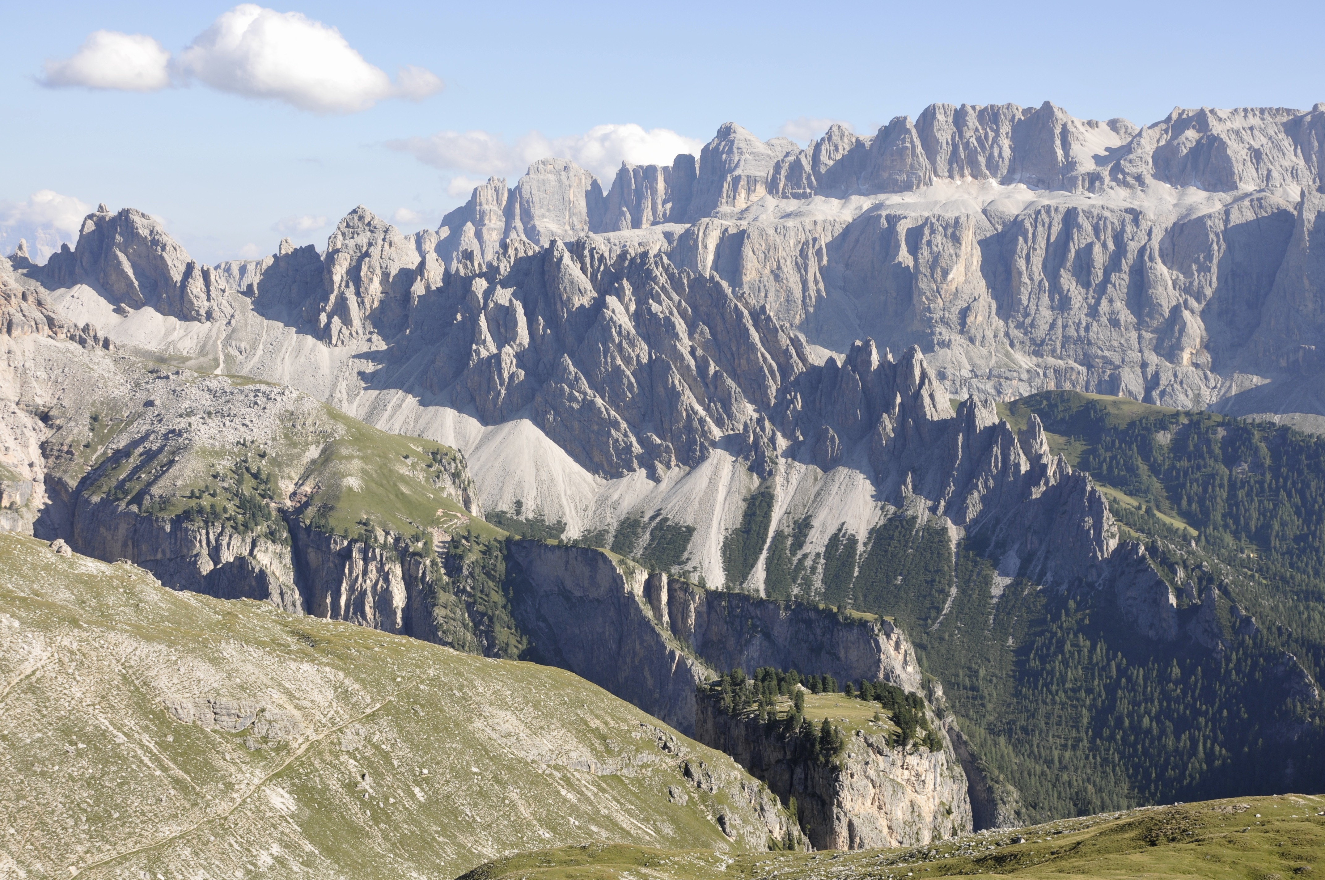 Stevia Cir Sella