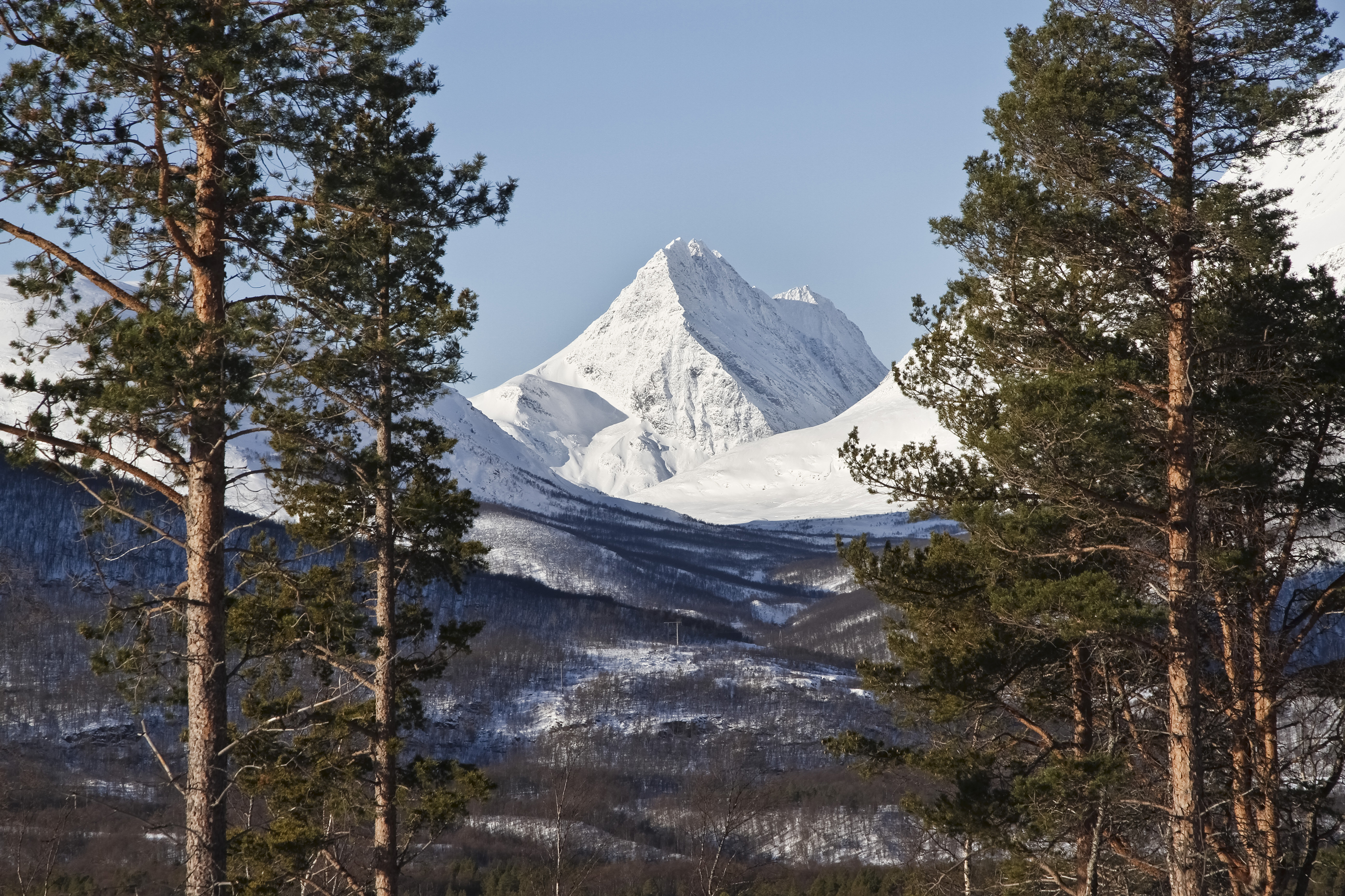 Storvasstinden east face from Signaldalen, 2012 March