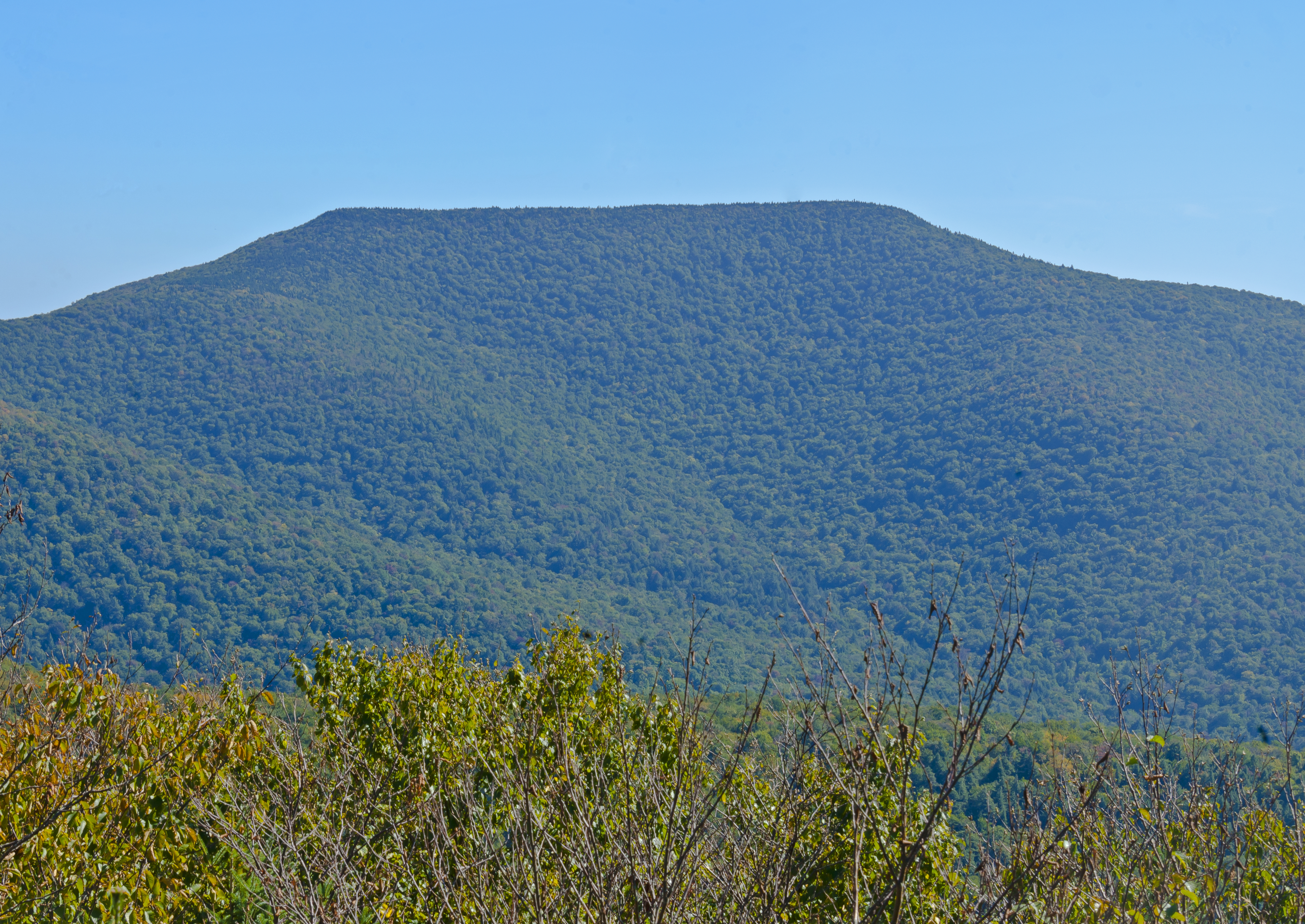 Table Mountain from Curtis-Ormsbee Trail