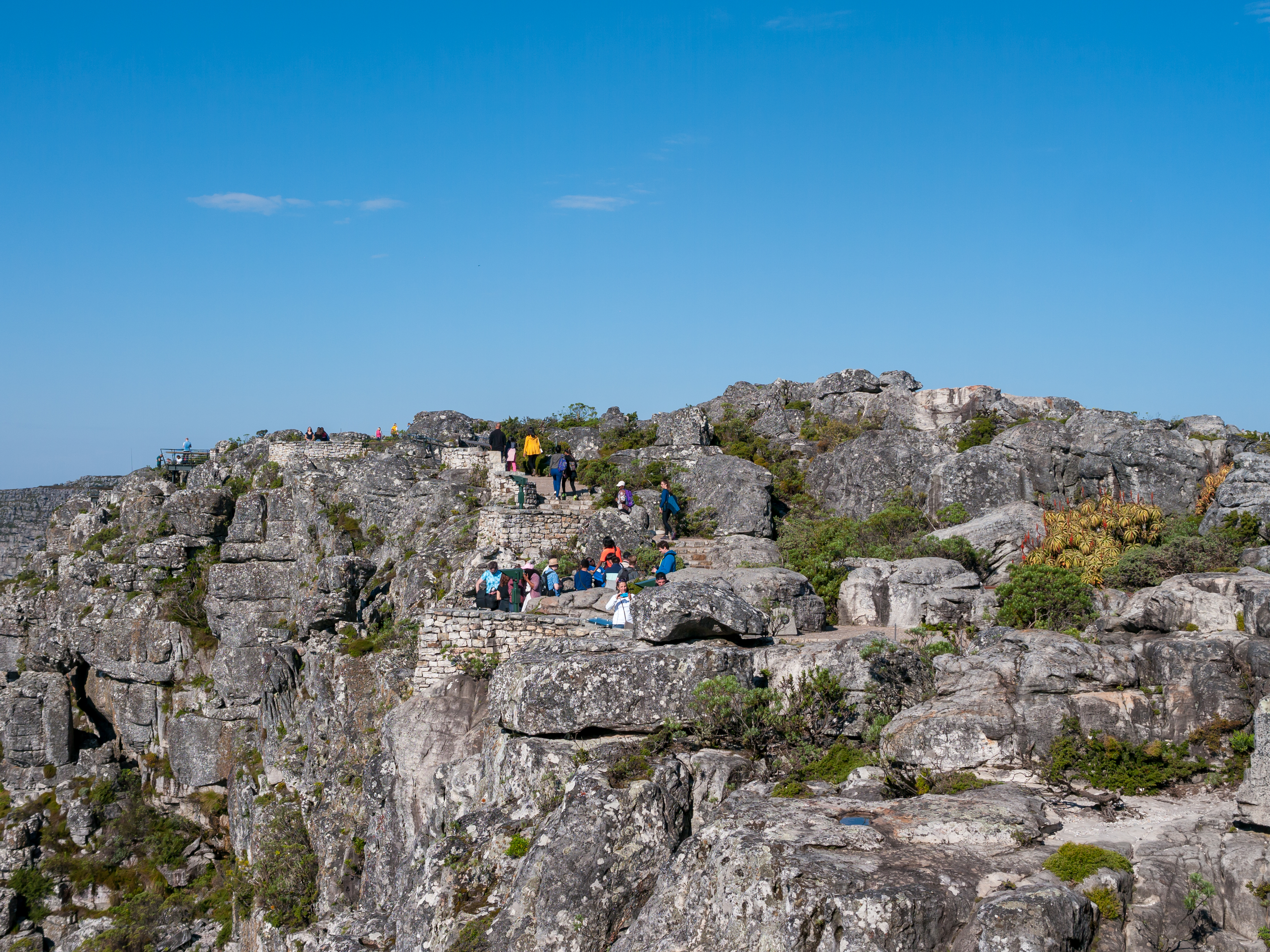 Table Mountain plateau, Cape Town (P1050368)