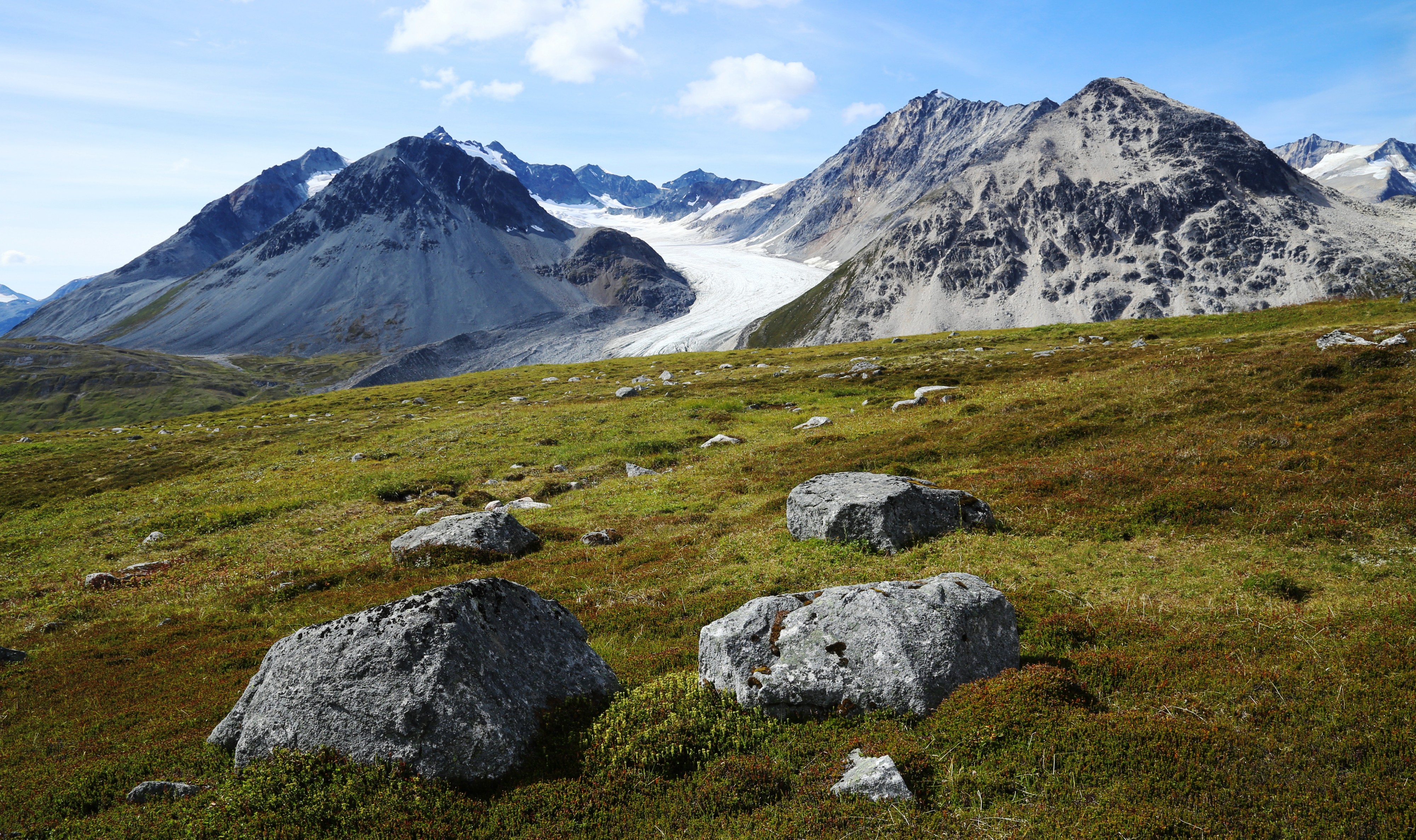 2015-08-14 Tatshenshini-Alsek Park 1368
