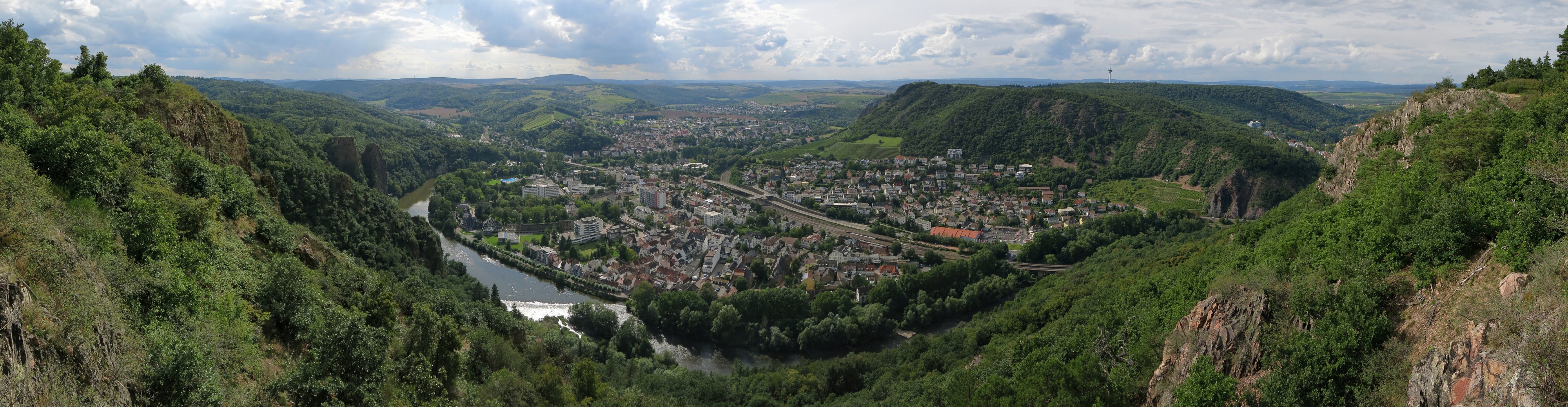 Bad Muenster am Stein (Gans)