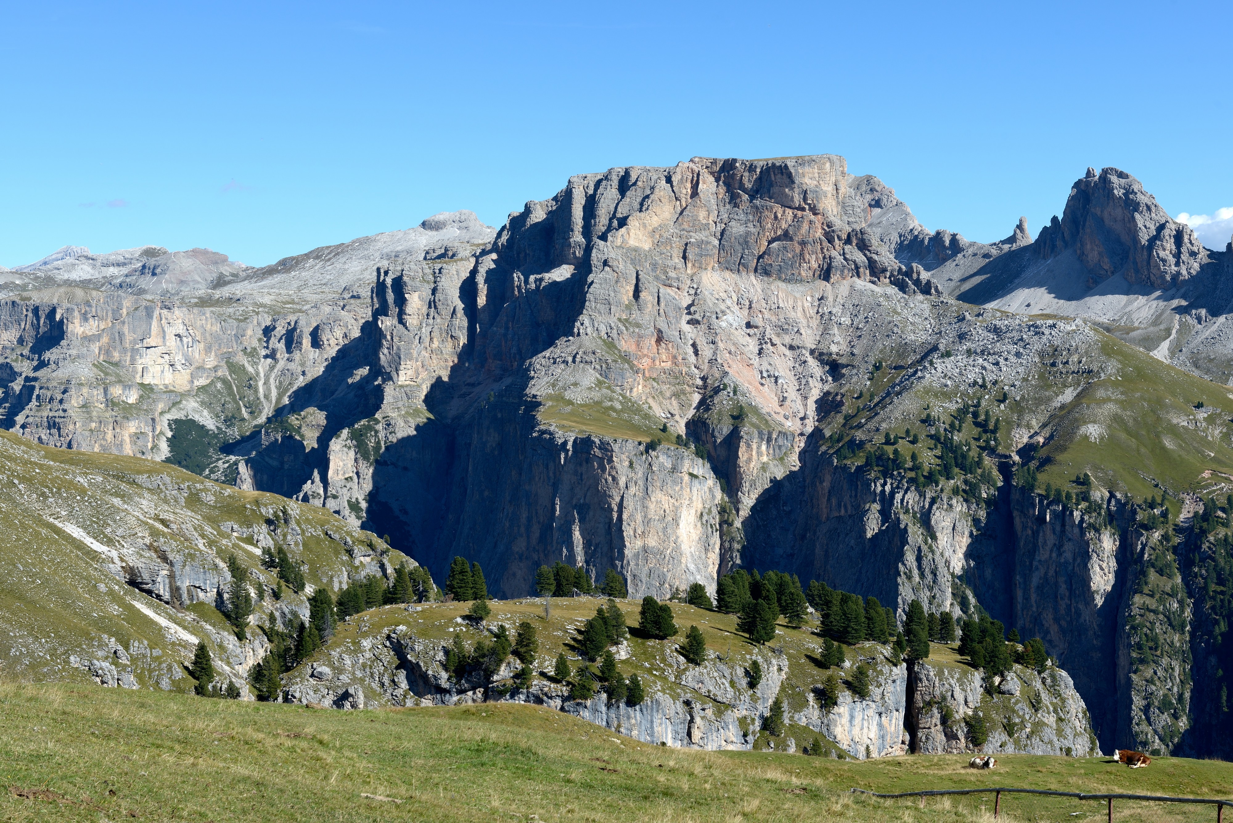 Crespeina Mont de Sëura Val