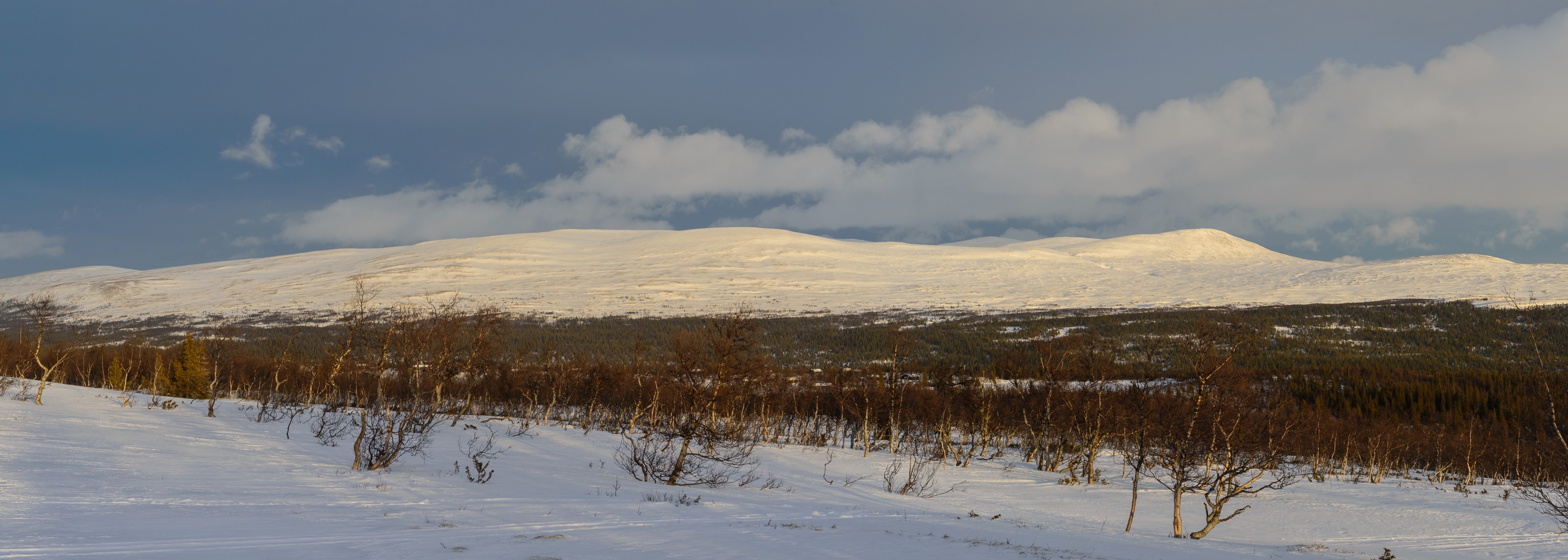 Dunsjöfjället December 2013