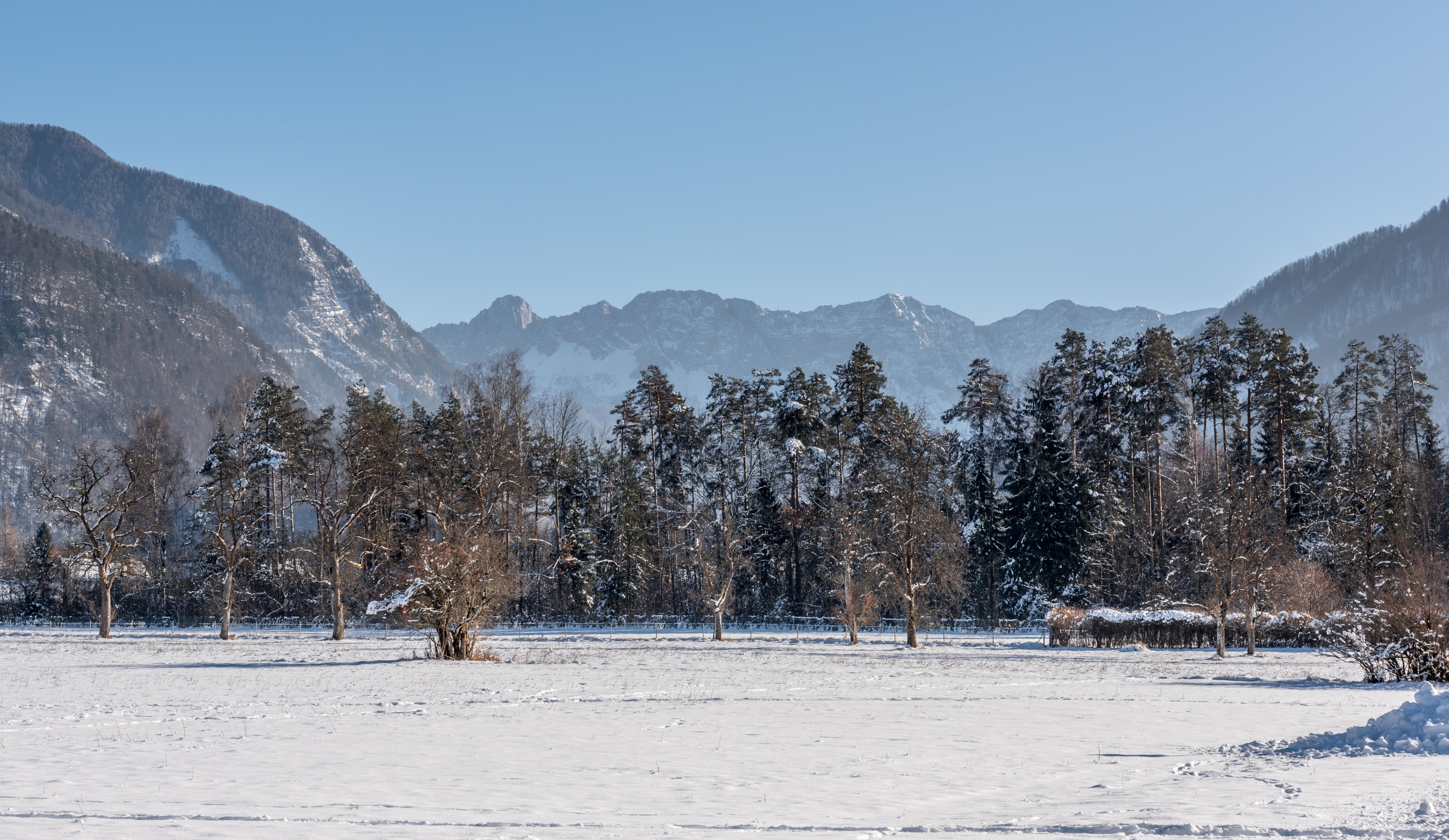 Ferlach Blick von Dollich zur Koschuta 28012017 6222